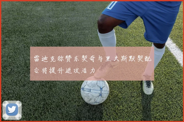 雷迪克称赞东契奇与里夫斯默契配合将提升进攻活力
